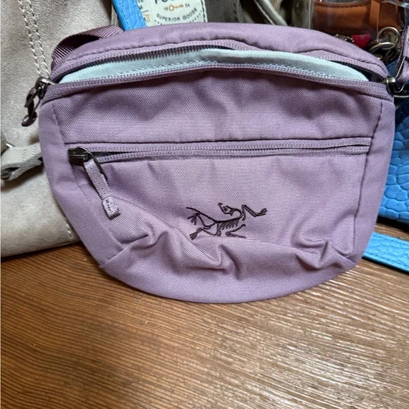 Designer bags- The Sak, Vince Camuto, Fossil, Shiseido, and more- Please read! - Picture 2 of 7